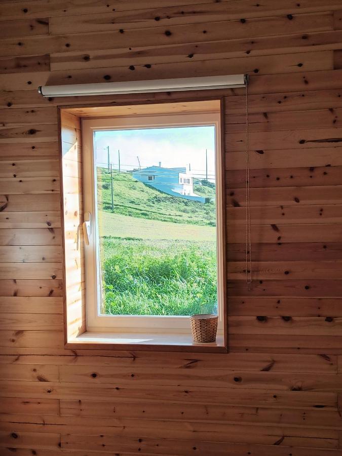 Villa Roots Cozy House Raposeira Raposeira  Exterior foto