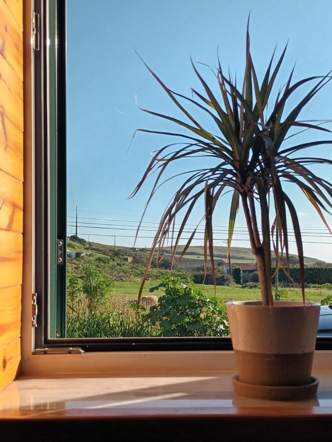 Villa Roots Cozy House Raposeira Raposeira  Exterior foto